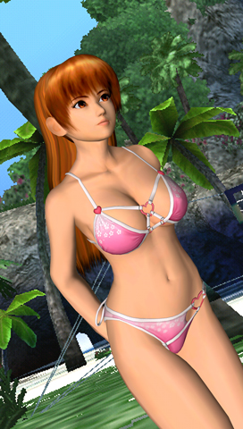 Illustration for article titled Dead Or Alive Paradise Screens